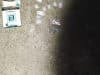 IMG 20230103 WA0056