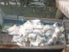 IMG 20231215 WA0016