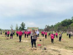 IMG 20240205 WA0020 1