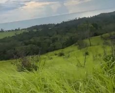 IMG 20240205 000239 2