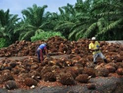 Screenshot 20240603 161126 Google