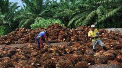 Screenshot 20240603 161126 Google