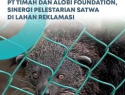 Screenshot 20241005 014549 Chrome