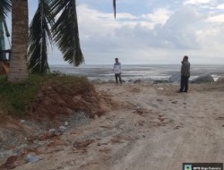 IMG 20241213 WA0020 1