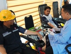 IMG 20250131 WA0009 1 1