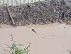 Screenshot 20250118 025655 Gallery