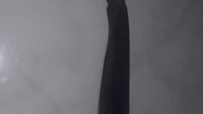 IMG 20250424 WA0001