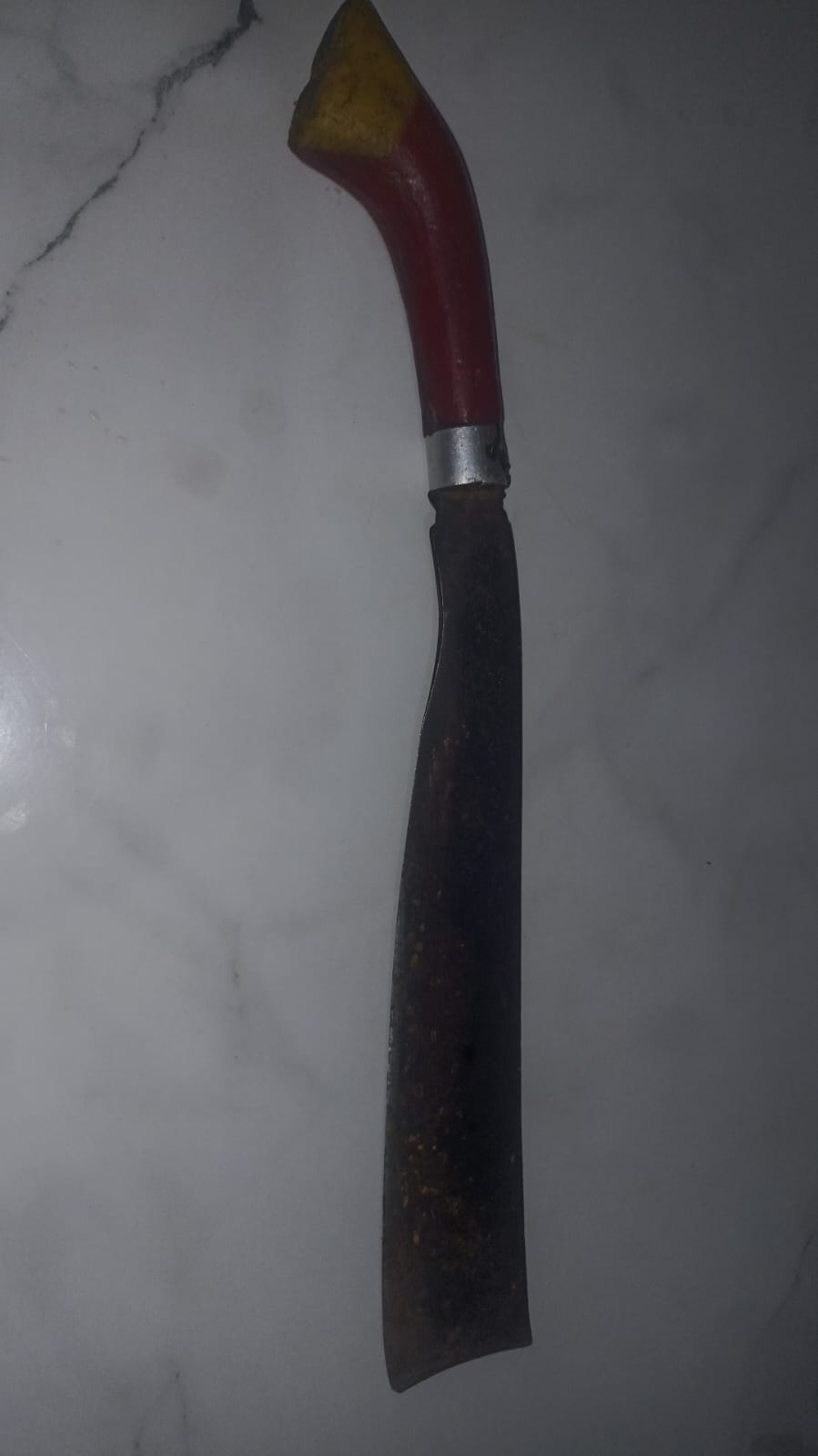 IMG 20250424 WA0001