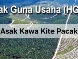 Screenshot 20250519 192410 Chrome