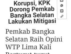 collage 2 4 1748329599028 2