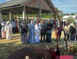 Screenshot 20250609 120339 Chrome