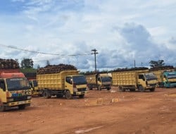 Screenshot 20250620 132934 Gallery