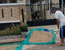 Screenshot 20250628 134044 Gallery