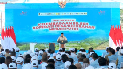 Screenshot 20250723 014559 Chrome