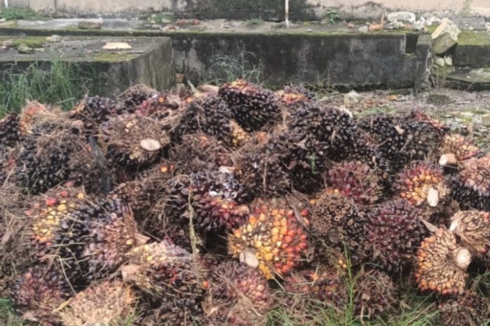 Screenshot 20250912 141434 Gallery