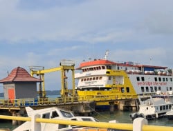 Screenshot 20251006 110506 Gallery