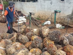 Screenshot 20251008 195227 Gallery