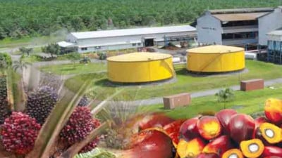 Screenshot 20251109 115808 Chrome