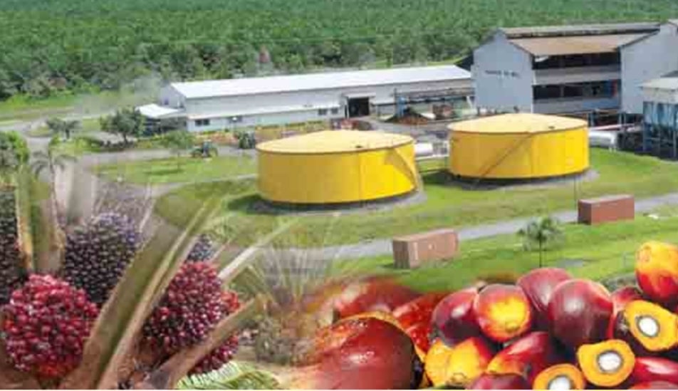 Screenshot 20251109 115808 Chrome