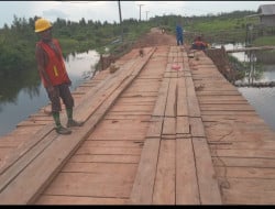 Screenshot 20251114 094446 Gallery