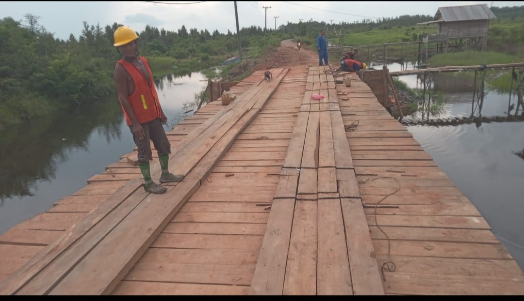 Screenshot 20251114 094446 Gallery