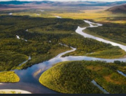 Screenshot 20251114 144257 Chrome