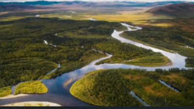 Screenshot 20251114 144257 Chrome