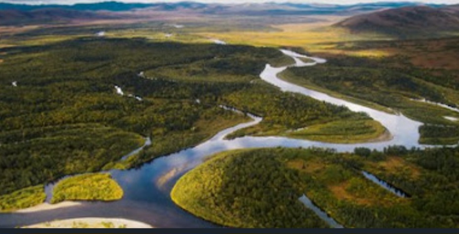 Screenshot 20251114 144257 Chrome