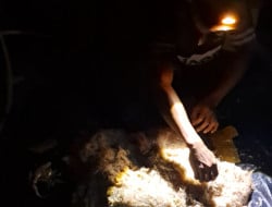 Screenshot 20251126 124753 Gallery