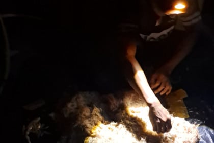 Screenshot 20251126 124753 Gallery