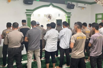 Screenshot 20251201 140655 Gallery