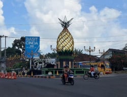 Screenshot 20260131 140604 Gallery