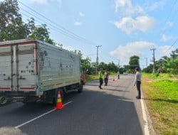 Puma IMG 20260211 WA0020