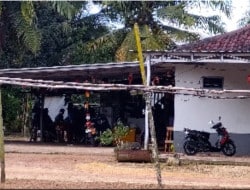 Screenshot 20260219 201933 Chrome