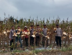 Puma IMG 20260303 WA0003