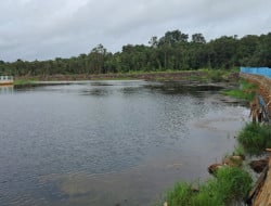 Screenshot 20260309 183008 Gallery