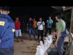 Screenshot 20260310 183605 Gallery 1