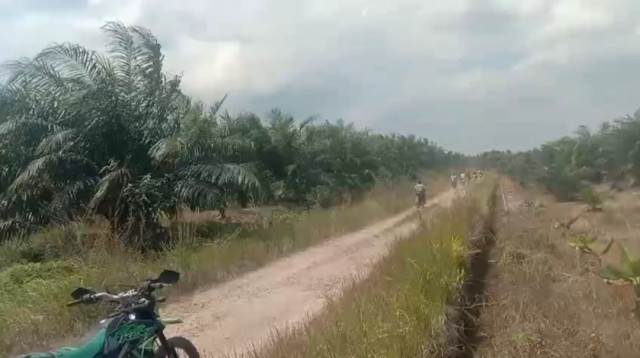 Screenshot 20260731 110430 Gallery