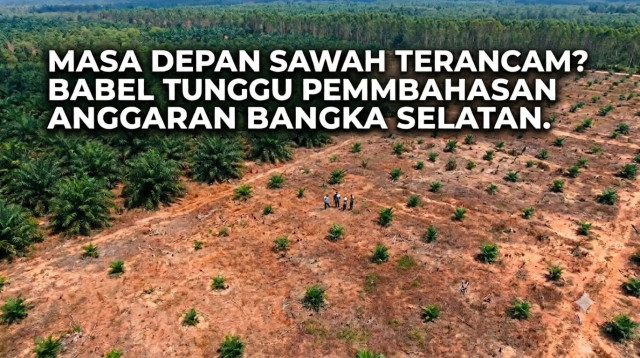 IMG 20260806 WA0003