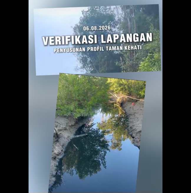 Screenshot 20260810 184735 Editor Lite
